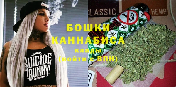 сатива Нязепетровск