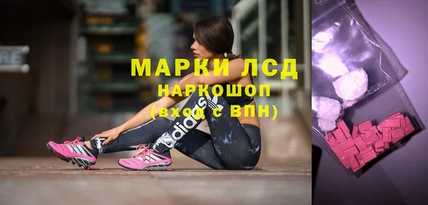 сатива Нязепетровск