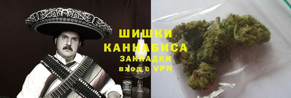 сатива Нязепетровск