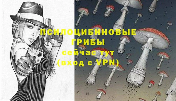 гидропоника Нягань