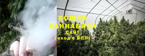 сатива Нязепетровск