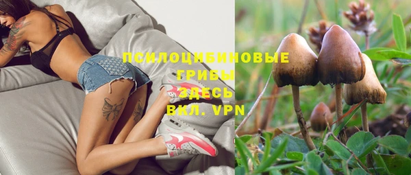 сатива Нязепетровск