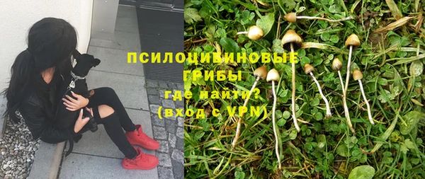 гидропоника Нягань