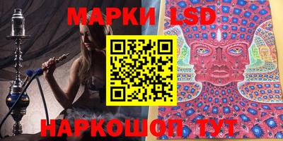 прущие грибы Абакан