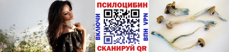 mega рабочий сайт  Алексин  Галлюциногенные грибы мухоморы 