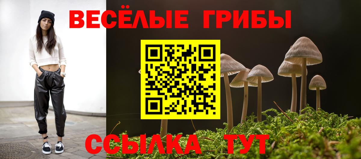 Алексин  магазин продажи   Вход с VPN  Галлюциногенные грибы Magic Shrooms 