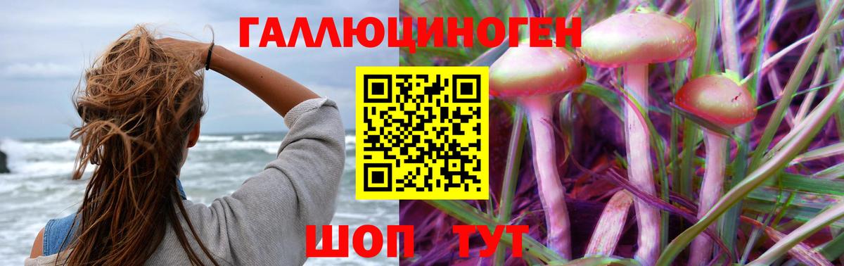 Псилоцибиновые грибы мицелий  что такое наркотик  Алексин 