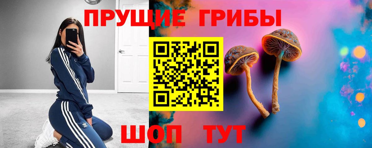 Псилоцибиновые грибы Cubensis Алексин